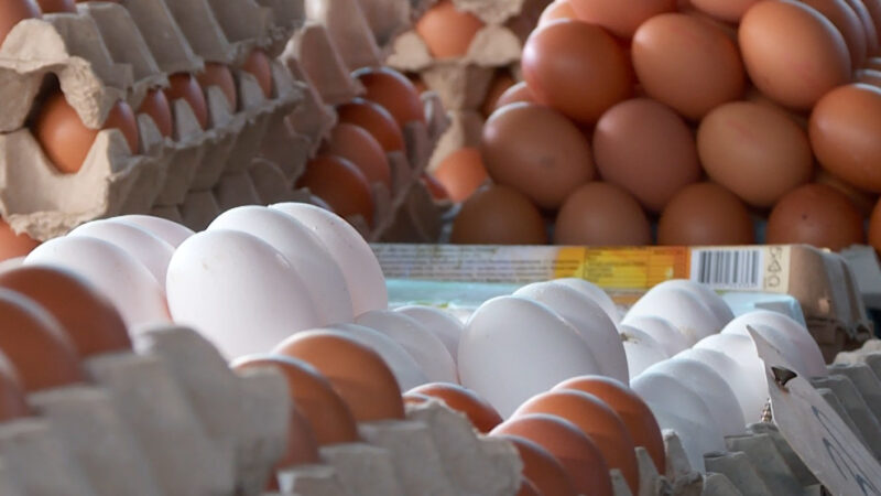 Cena jaja u Nišu od 16 do 30 dinara