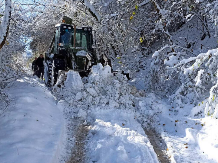 Niš: Zimske službe spremne za održavanje saobraćajnica