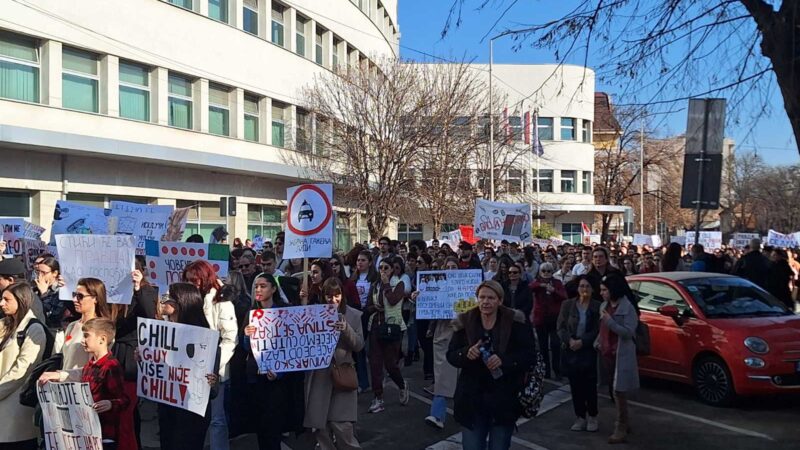 „Bermudski trougao- gde pravda nestaje“ na protestu u Nišu