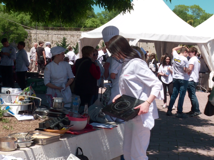 Međunarodni gastro-turistički festival u Nišu